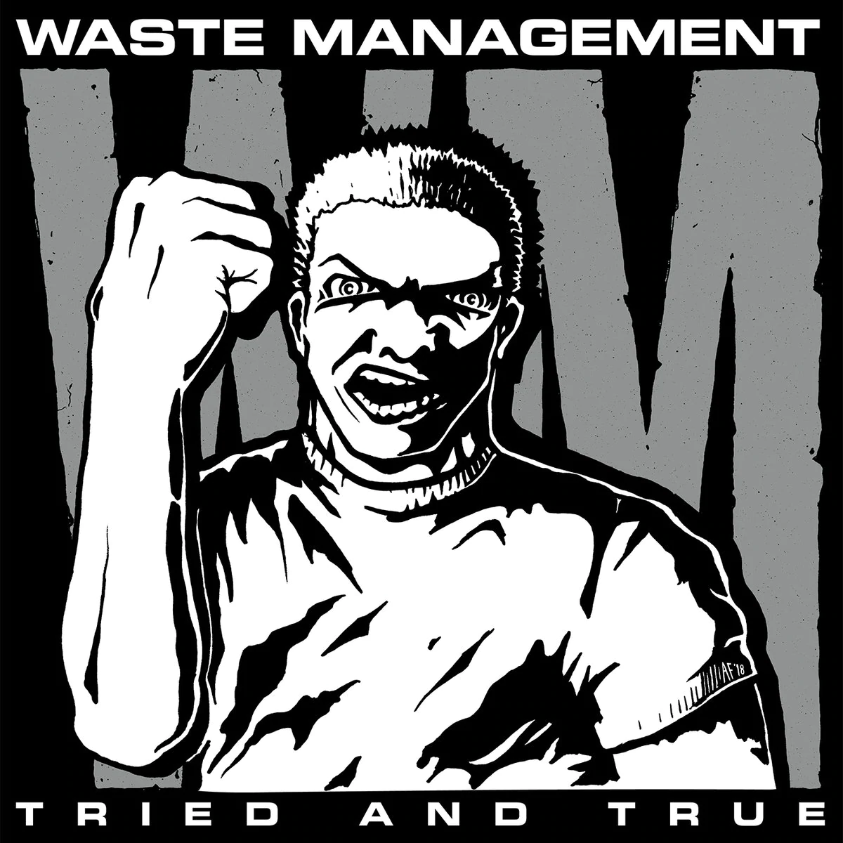 (image for) Waste Management - Tried and True LP